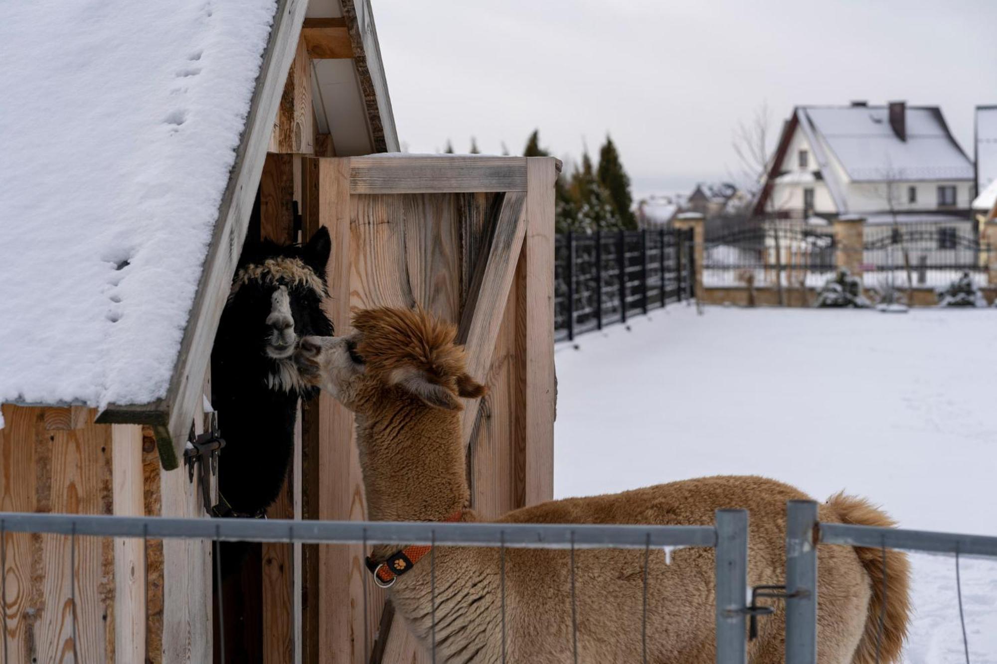 Całoroczne Domki Góralskie Kluszkowce-Czorsztyn Exterior foto